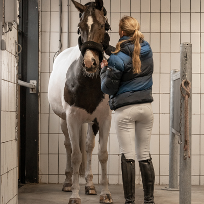 Stal Panser Elema